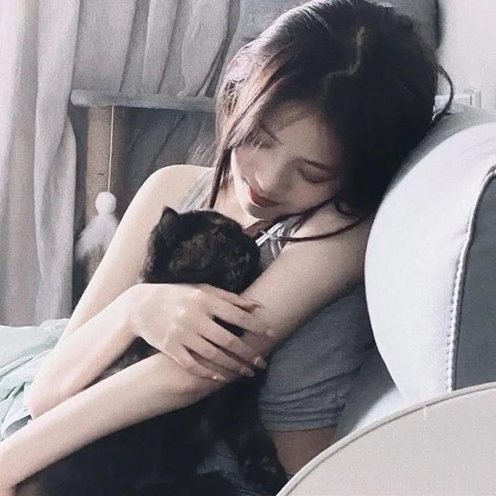 凤凰四重奏粤语